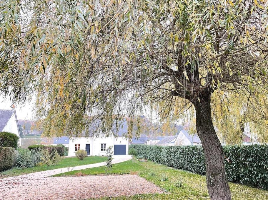 Havre De Paix Spa Proche Amboise & Chateaux De La Loire 누아제 외부 사진